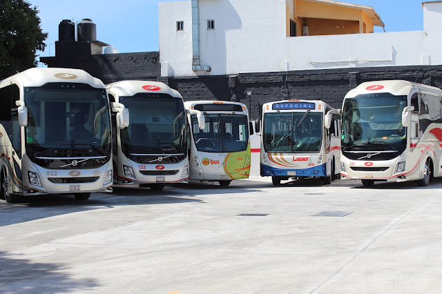 Pullman de Morelos Casino de la Selva