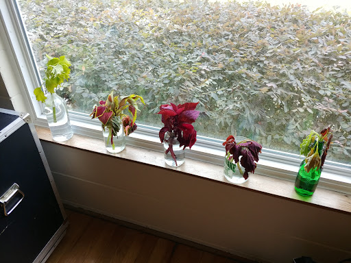 Hardware Store «Proctor Ace Hardware», reviews and photos, 5723 University Blvd W, Jacksonville, FL 32216, USA