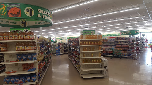 Dollar Store «Dollar Tree», reviews and photos, 2305 Colorado Blvd, Denton, TX 76205, USA
