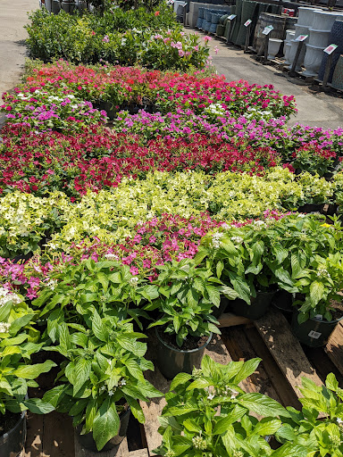 Home Improvement Store «Menards», reviews and photos, 2315 Merchant Mile, Columbus, IN 47201, USA