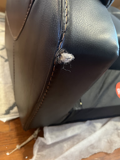 Appliance Store «Sears Outlet», reviews and photos, 11111 San Jose Blvd #1, Jacksonville, FL 32223, USA