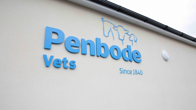 Comments and reviews of Penbode Vets, Camelford (farm animal and pet care)