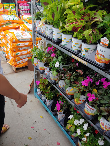 Department Store «Target», reviews and photos, 255 Pond Path, South Setauket, NY 11720, USA