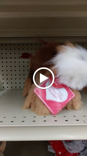 Discount Store «Big Lots», reviews and photos, 4840 Allen Rd, Zephyrhills, FL 33541, USA