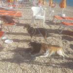 Photo n°4 de l'avis de Stefania.a fait le 12/09/2019 à 18:55 sur le  Vignanotica Beach à Vieste