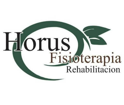 Horus fisioterapia