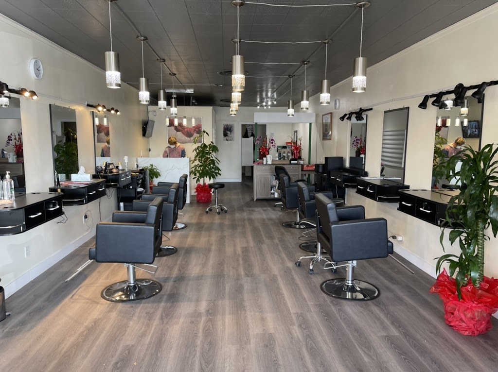 Color Salon 91016
