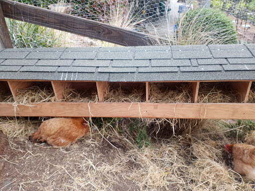 Hardware Store «Mendo Mill & Lumber Co», reviews and photos, 2465 S Main St, Lakeport, CA 95453, USA