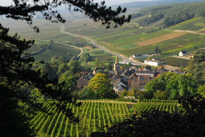 Domaine Françoise Jeanniard à Pernand-Vergelesses