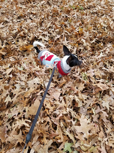 Park «Sunset Park», reviews and photos, 7th Ave & 43rd St, Brooklyn, NY 11232, USA