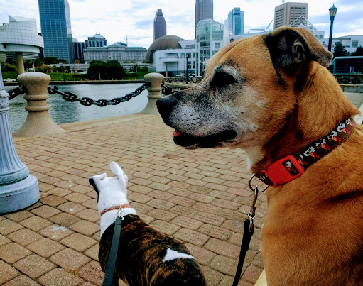 Science Museum «Great Lakes Science Center», reviews and photos, 601 Erieside Ave, Cleveland, OH 44114, USA