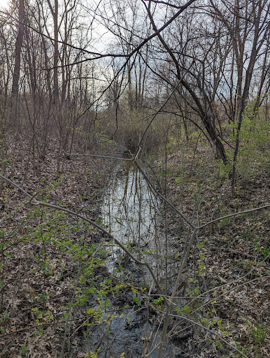 Park «Willow Metropark», reviews and photos, 23200 S Huron Rd, New Boston, MI 48164, USA