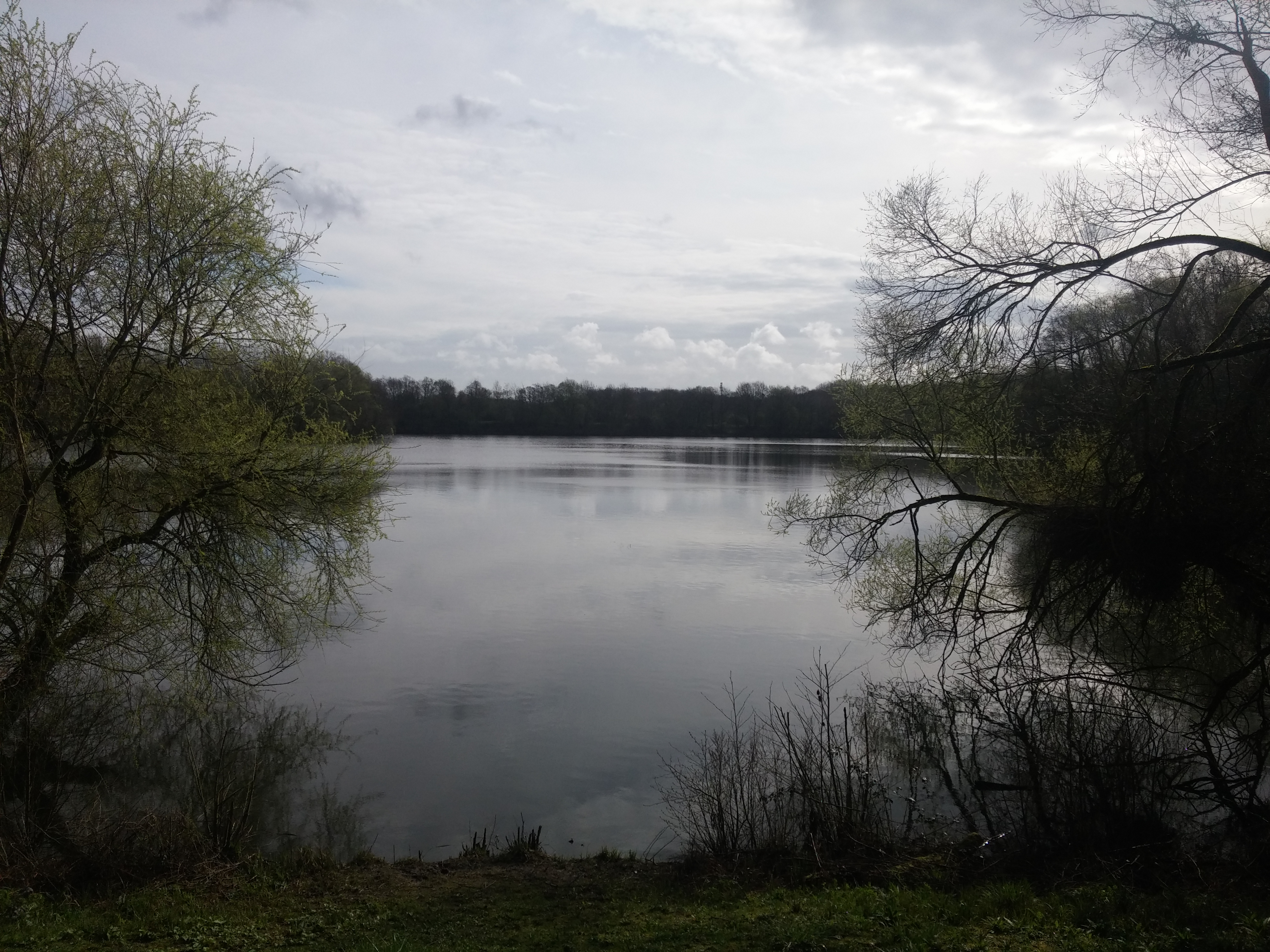 Photo n° 1 de l'avis de Loetitia.e fait le 08/04/2018 à 10:02