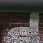 Photo n°29 de l'avis de MILES.X fait le 31/07/2019 à 06:07 sur le  Gästehaus Howe à Stade