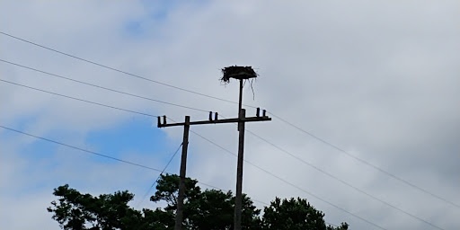 Hiking Area «Black Point Trailhead», reviews and photos, 655 Ocean Rd, Narragansett, RI 02882, USA