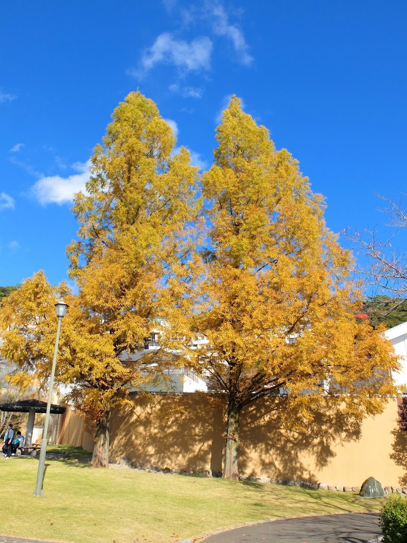 鉄輪地獄地帯公園付属 十万公園