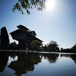 Photo n°3 de l'avis de Tali.r fait le 30/01/2024 à 09:55 sur le  Café Ideal im Haus der Deutschen Weinstraße à Bockenheim an der Weinstraße