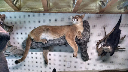 Pete's True To Life Taxidermy
