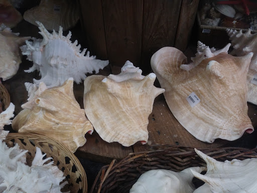 Gift Shop «Ocean Treasures», reviews and photos, 966 Boardwalk, Ocean City, NJ 08226, USA