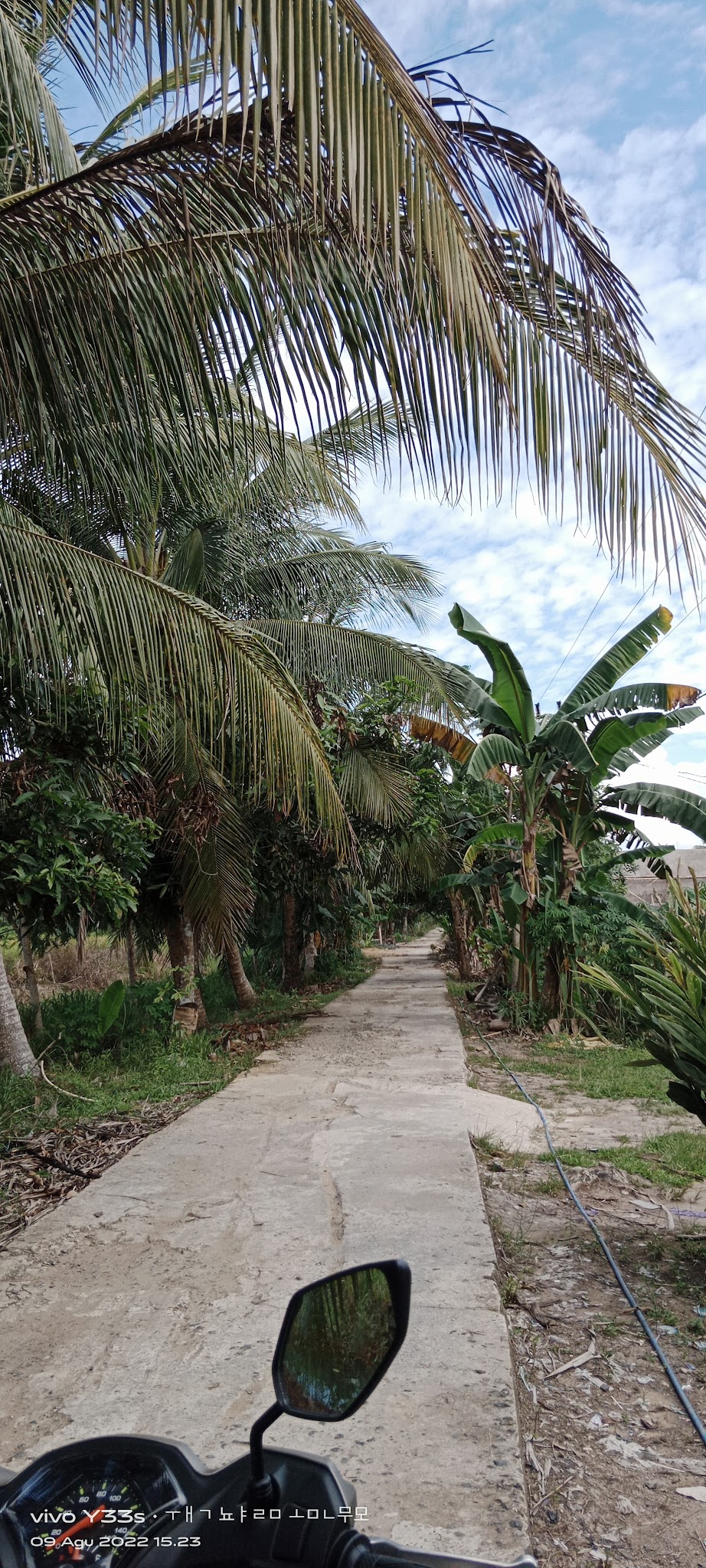 Foto TK  Kenanga, Kab. Barito Kuala