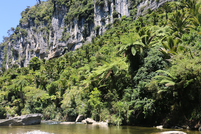 Reviews of Paparoa National Park in Greymouth - Other
