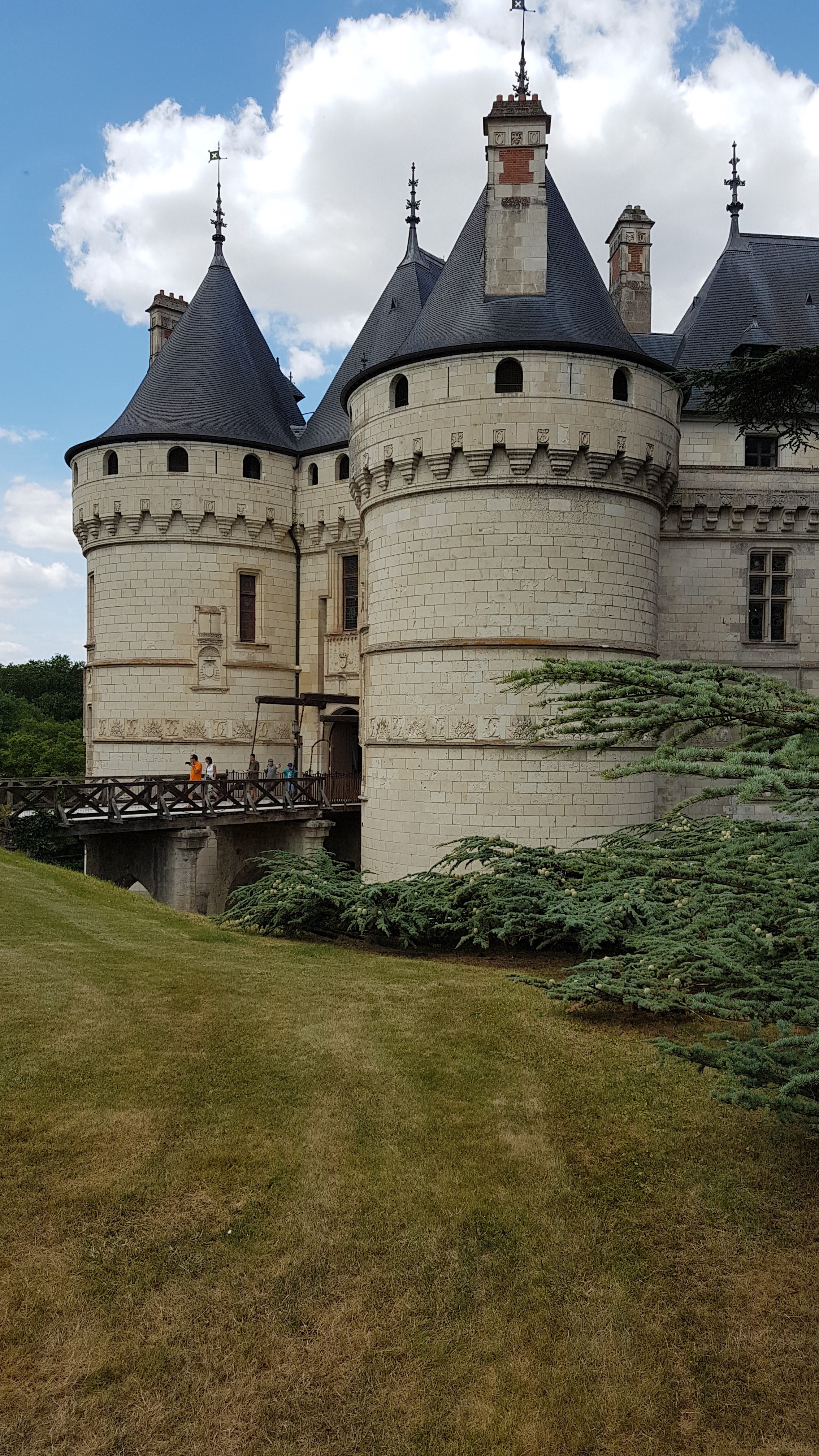 Photo n° 40 de l'avis de Jean.i fait le 13/07/2019 à 17:59