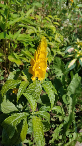 Park «Coloma Township Park District», reviews and photos, 510 E 11th St, Rock Falls, IL 61071, USA