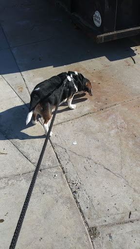 Animal Shelter «HELP the Animals, Inc», reviews and photos, 2101 W Main St, Richmond, IN 47374, USA