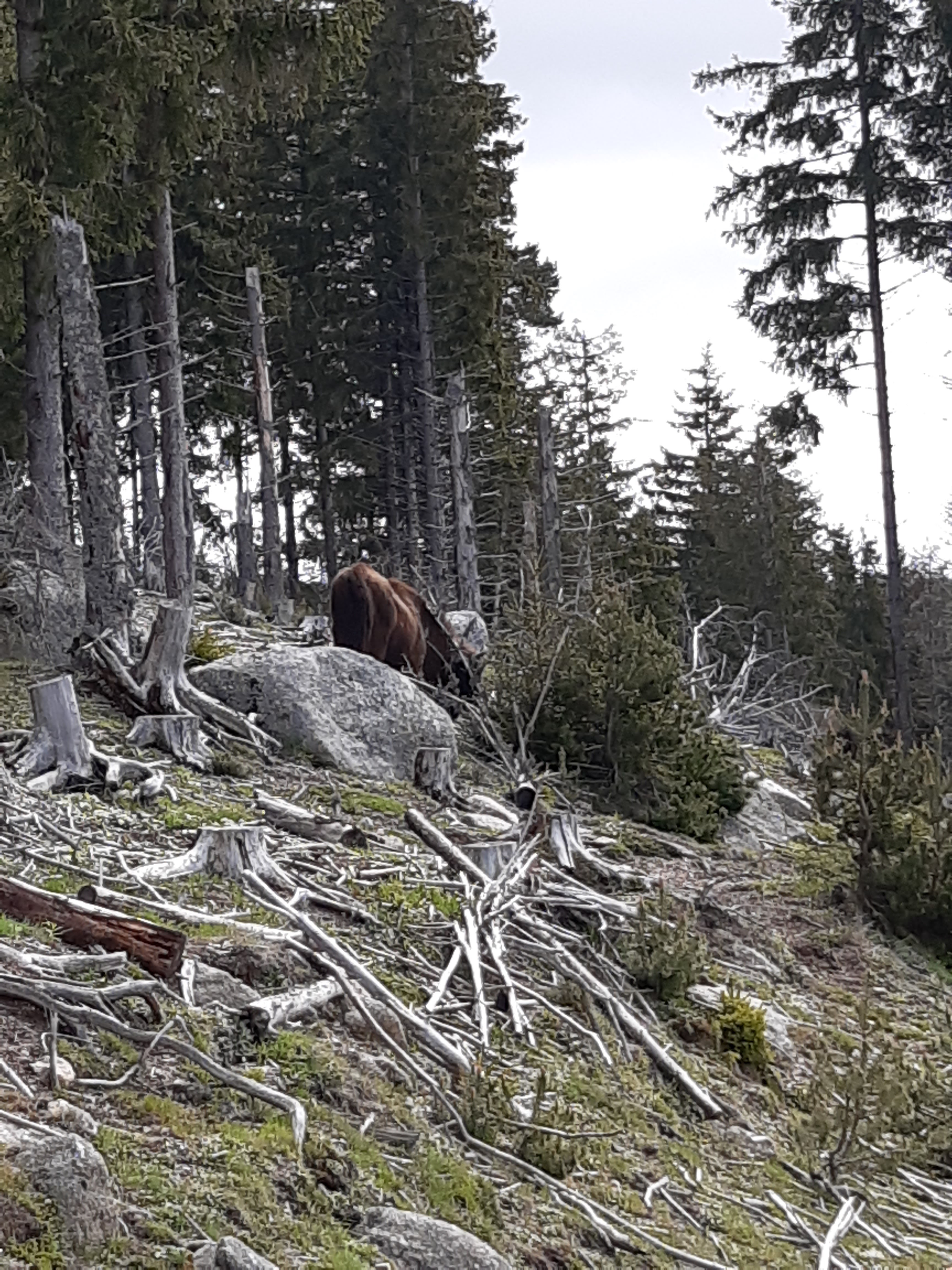 Photo n° 2 de l'avis de canu.a fait le 19/05/2023 à 10:22