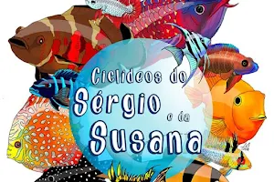 Ciclídeos do Sérgio e da Susana image
