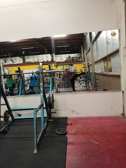 Iron Body Gym - 820 Gale St, Laredo, TX 78041