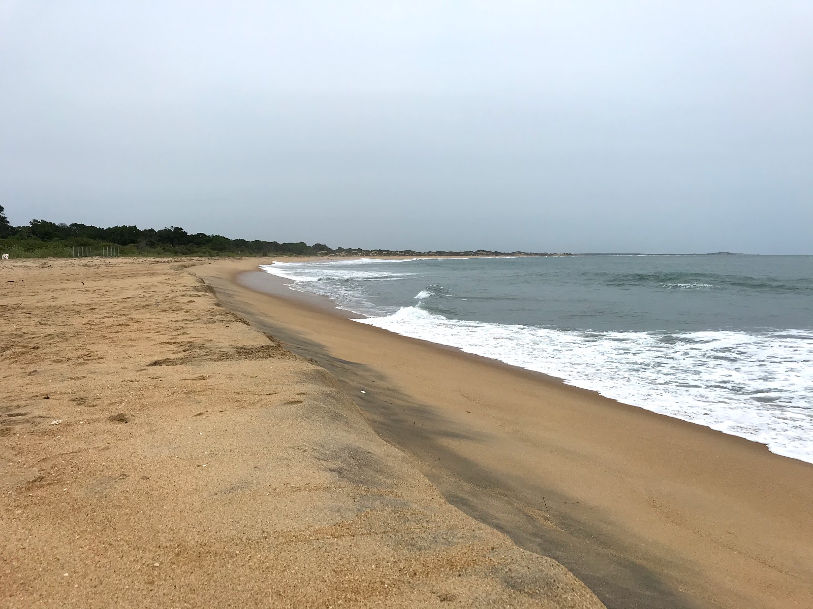 Patanangala Beach photo #6