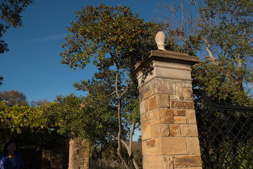 Park «Fort Worth Water Gardens», reviews and photos, 1502 Commerce St, Fort Worth, TX 76102, USA
