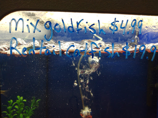 Pet Store «Southside Aquatics», reviews and photos, 2039 Pleasanton Rd, San Antonio, TX 78221, USA