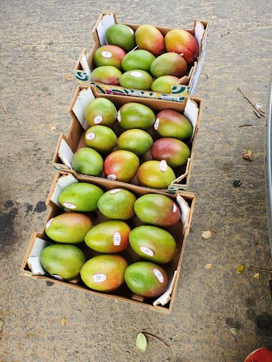 Supermarket «Santa Fe Mercados Inc», reviews and photos, 870 S White Rd, San Jose, CA 95127, USA