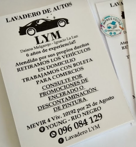 Opiniones de Lavadero de autos Ignacio La Luz en Young - Centro comercial