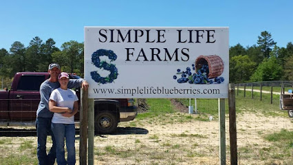 Simple Life Blueberry Farm
