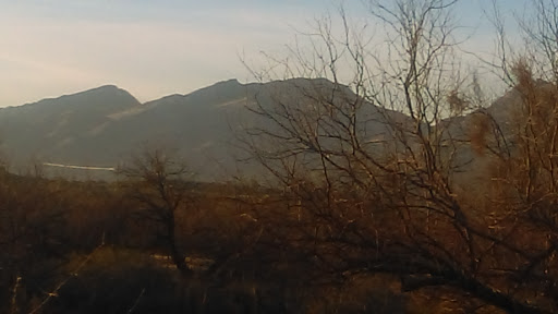 Amity Foundation Circle Tree Ranch