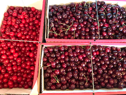 Fruit Acres Farms Cherry U-Pick