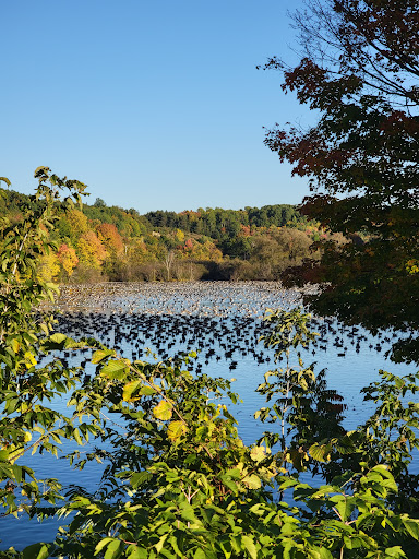 Park «Malone Village Memorial Park», reviews and photos, Duane St, Malone, NY 12953, USA