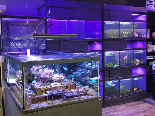 Tropical Fish Store «Life Aquatic», reviews and photos, 9 South Ave, New Canaan, CT 06840, USA