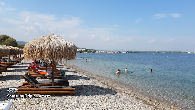 Αξιολογήσεις για το Παραλία Μαρκοπούλου Ωρωπού στην Μαρκόπουλο Ωρωπού - Γιατρός
