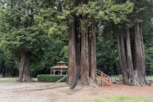 Sequoia Park image