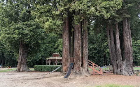 Sequoia Park image