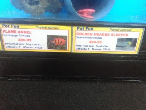 Pet Supply Store «Pet Fun At Harden Ranch Plz», reviews and photos, 1780 N Main St, Salinas, CA 93906, USA