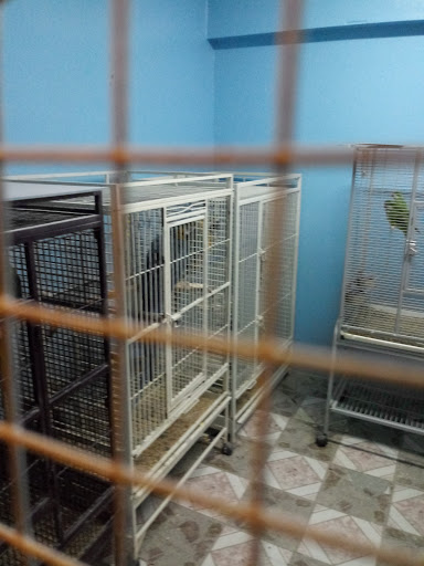 Pet Store «Paraiso De Aves», reviews and photos, 1836 W 47th St, Chicago, IL 60609, USA