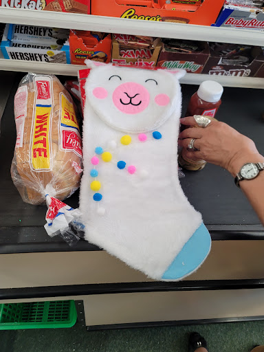 Dollar Store «Dollar Tree», reviews and photos, 7373 52nd Pl E, Bradenton, FL 34203, USA