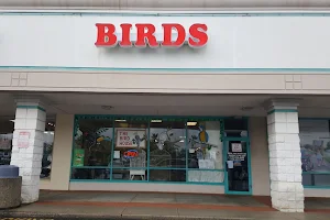 Bird House image