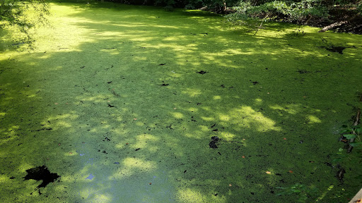 Museum «Barclay Farmstead Museum», reviews and photos, 209 Barclay Ln, Cherry Hill, NJ 08034, USA