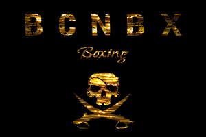 BCNBX - Boxing Coach image